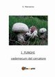 I Funghi, Marracino Ermanno