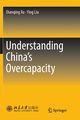 Understanding China's Overcapacity, Xu Dianqing
