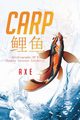 Carp  ??, Axe