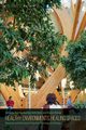 Healthy Environments, Healing Spaces, 
