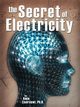 Secret of Electricity, Elsersawi Amin