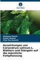 Auswirkungen von Coriandrum sativum L. Blttern und Stngeln auf die mnnliche Fortpflanzung, Shams Shabana