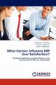 What Factors Influence Erp User Satisfaction?, Mitakos Theodoros N.