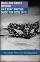 Much Ado About Nothing, Press Accolade