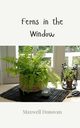 Ferns in the Window, Donovan Maxwell