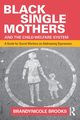 Black Single Mothers and the Child Welfare System, Brooks Brandynicole