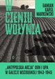 W cieniu Woynia. Antypolska akcja OUN i UPA w Galicji Wschodniej 1943-1945, Markowski Damian