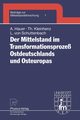 Der Mittelstand im Transformationsproze Ostdeutschlands und Osteuropas, Hauer Annegret