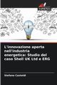 L'innovazione aperta nell'industria energetica, Castoldi Stefano