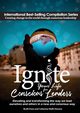 Ignite Your Life for Conscious Leaders, Owen JB