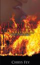 Flaming Crimes, Fey Chrys