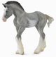 rebi Clydesdale Black Sabino Roan M), 