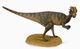 Dinozaur Pachycephalosaurus, 