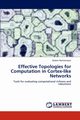 Effective Topologies for Computation in Cortex-like Networks, Rohrkemper Robert