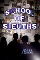 School of Sleuths, Aiken Matt J.
