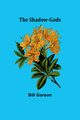 The Shadow-Gods, Garson Bill