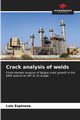 Crack analysis of welds, Espinoza Luis