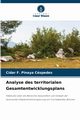 Analyse des territorialen Gesamtentwicklungsplans, Pinaya Cspedes Cdar F.