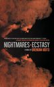 Nightmares in Ecstacy, Vidito Brendan
