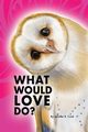 What Would Love Do?, Cook Jennifer