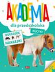 Akademia dla przedszkolaka. Kucyki, 