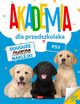 Akademia dla przedszkolaka Psy, 