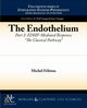 The Endothelium, Part II, F. L. Tou Michel