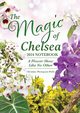 The Magic of Chelsea Notebook, Thompson-Wells