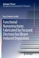 Functional Nanostructures Fabricated by Focused Electron/Ion Beam Induced Deposition, Crdoba Castillo Rosa