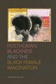Posthuman Blackness and the Black Female Imagination, Lillvis Kristen