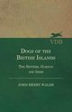 Dogs Of The British Islands. The Setters.Gordon And Irish., Walsh John Henry