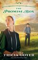 The Promise Box, Goyer Tricia