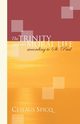The Trinity and Our Moral Life according to St. Paul, Spicq Ceslas