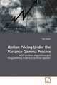 Option Pricing Under the Variance Gamma Process, Fiorani Filo