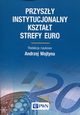 Przyszy instytucjonalny ksztat strefy Euro, 