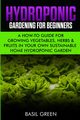 Hydroponic Gardening For Beginners, Green Basil