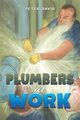 Plumbers at Work, David Peter