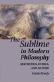 The Sublime in Modern Philosophy, Brady Emily