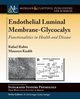 Endothelial Luminal Membrane-Glycocalyx, Rubio Rafael