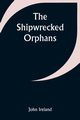 The Shipwrecked Orphans, Ireland John