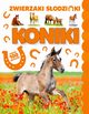 Koniki, 