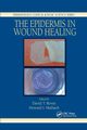 The Epidermis in Wound Healing, 