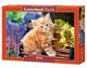 Puzzle Ginger Kitten 500, 