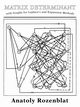 Matrix Determinant with Graphs for Laplace's and Expansion Methods, Rozenblat Anatoly