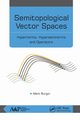 Semitopological Vector Spaces, Burgin Mark