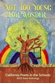 Not Too Young For Wonder, 