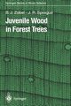 Juvenile Wood in Forest Trees, Zobel Bruce J.