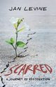 Scarred, Levine Jan