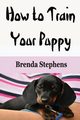 How to Train Your Puppy, Stephens Brenda