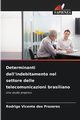 Determinanti dell'indebitamento nel settore delle telecomunicazioni brasiliano, Vicente dos Prazeres Rodrigo